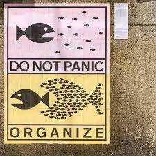 UnRandomized2 tweet media