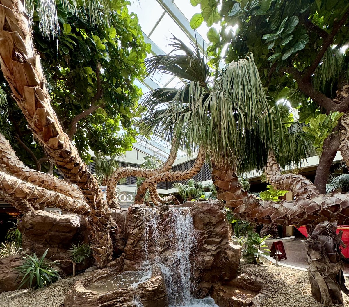 Laughlin Buzz tweet media