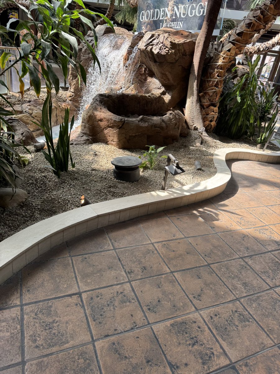 Laughlin Buzz tweet media