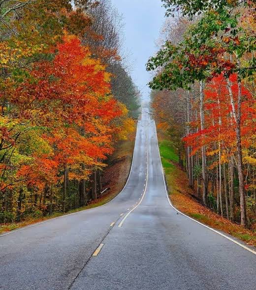 Chris Martz tweet media