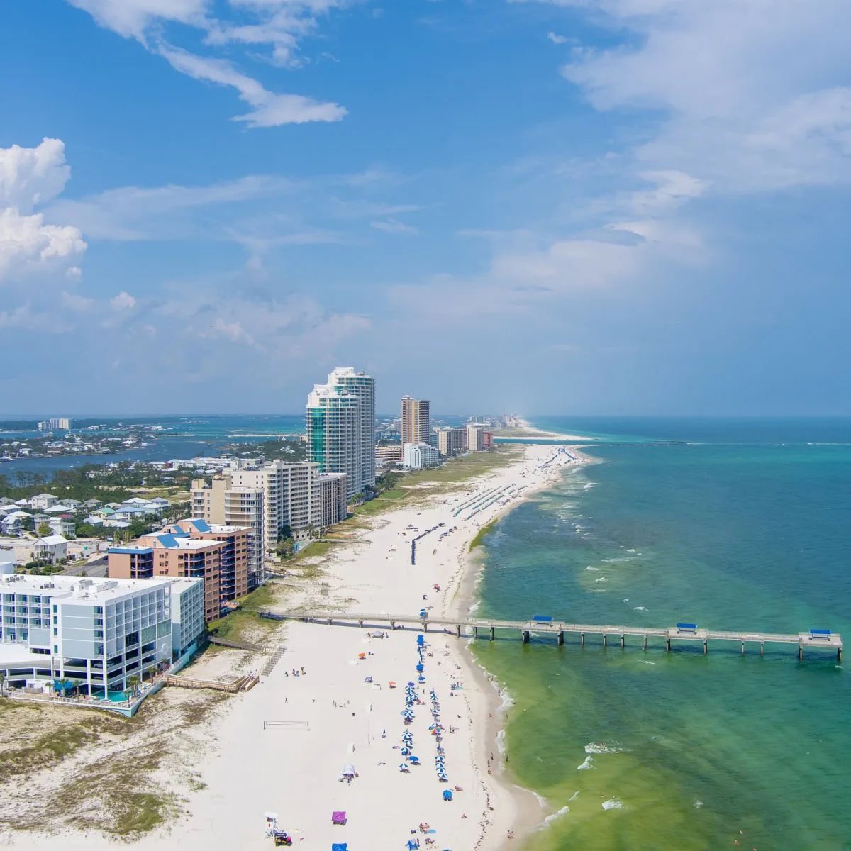 Chris Martz tweet media