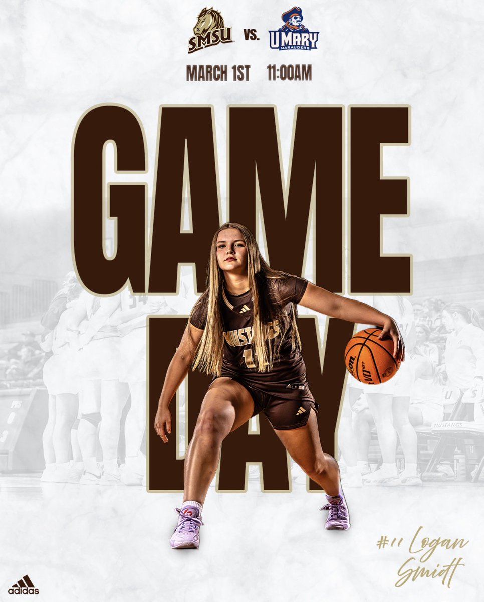 SMSU Women's Basketball tweet media