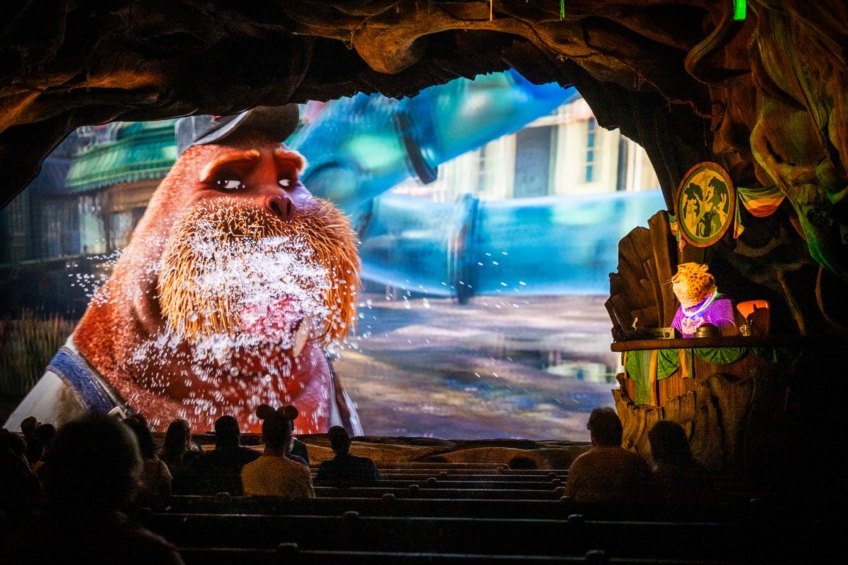 Gasu 💫 tweet media