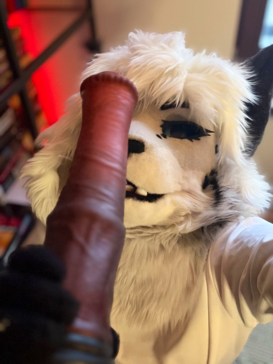 Skippy_AD tweet media