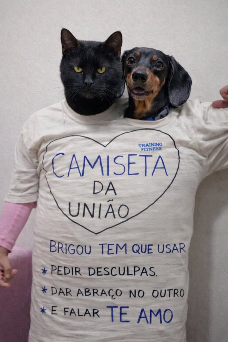 luan vinicius lovato tweet media