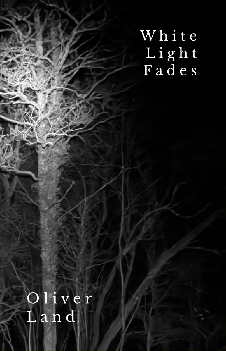 Oliver Land tweet media