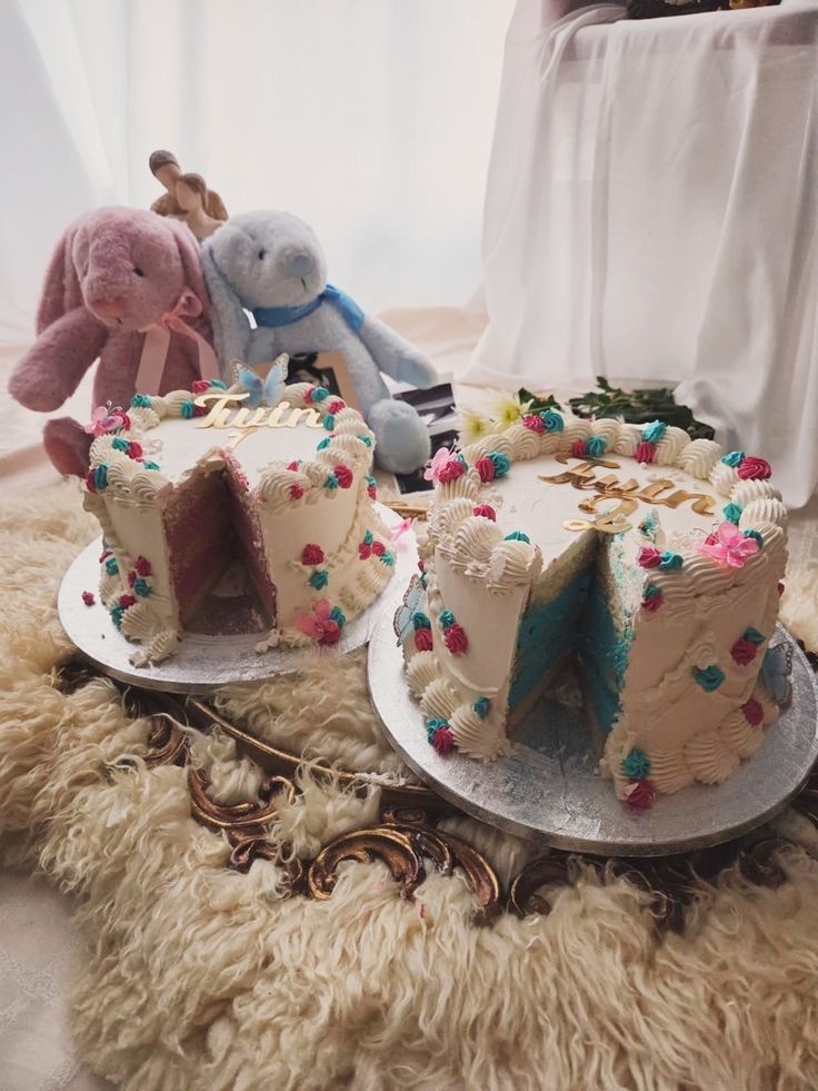 SO THE TWINS ARE. . .
🩷 💙