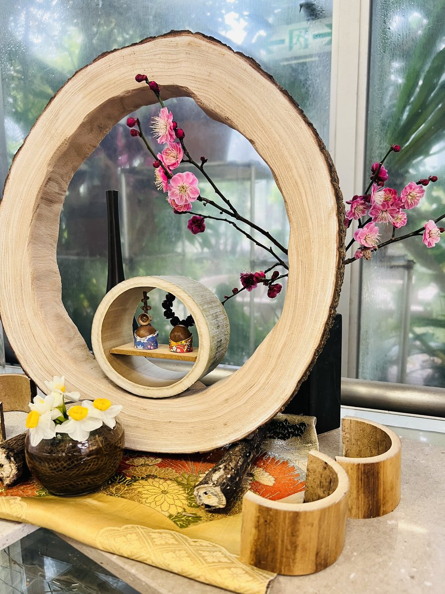 3月3日はひな祭り🎎 緑化センターでは可愛いお内裏様とお雛様が