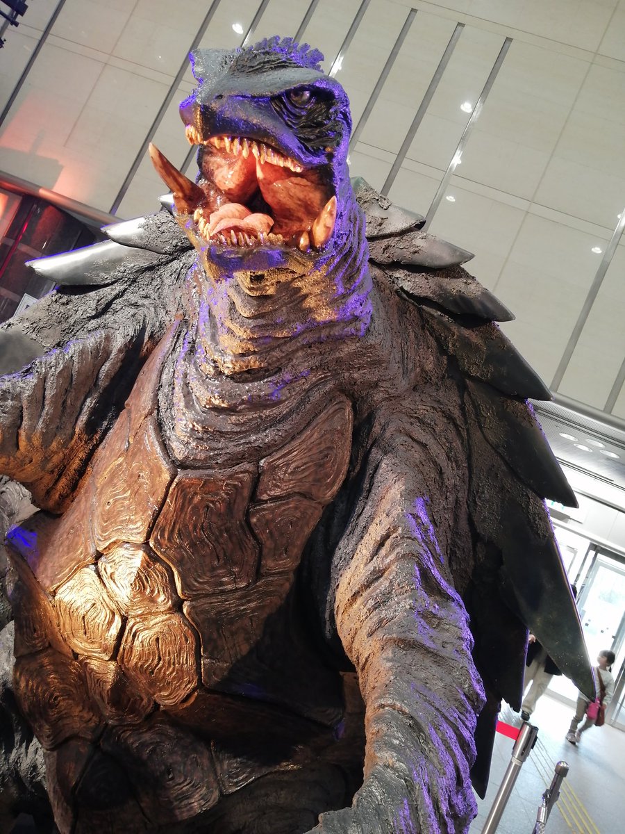 TARUHI◆5/6東7R41a😙黒猫邁進 tweet media