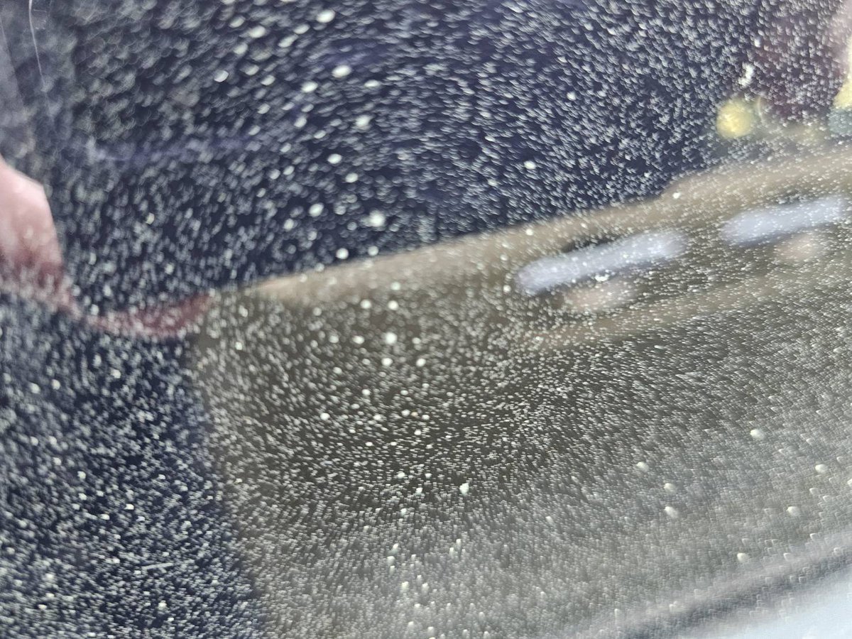 設楽遙斗@最高位戦 tweet media