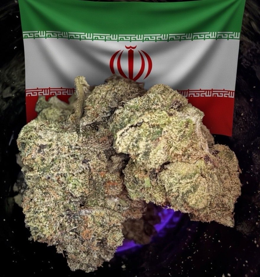 2,500 years ago Ancient Persians used copious amounts of cannabis in a ritual drink called Haoma as they believed it “opened the eye of the soul”