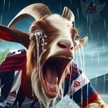 jluis211173's tweet photo. @SkywalkerGDL jajajajajaja jajajajajaja https://t.co/vZLm3TvJWP