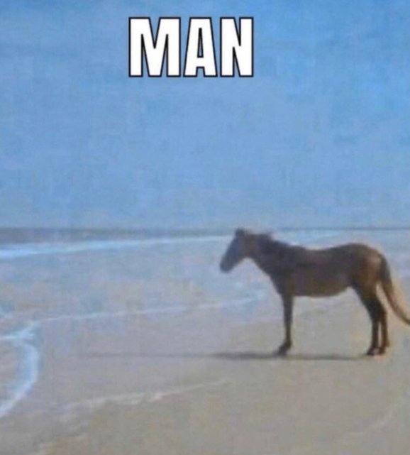 LA Thieves tweet media