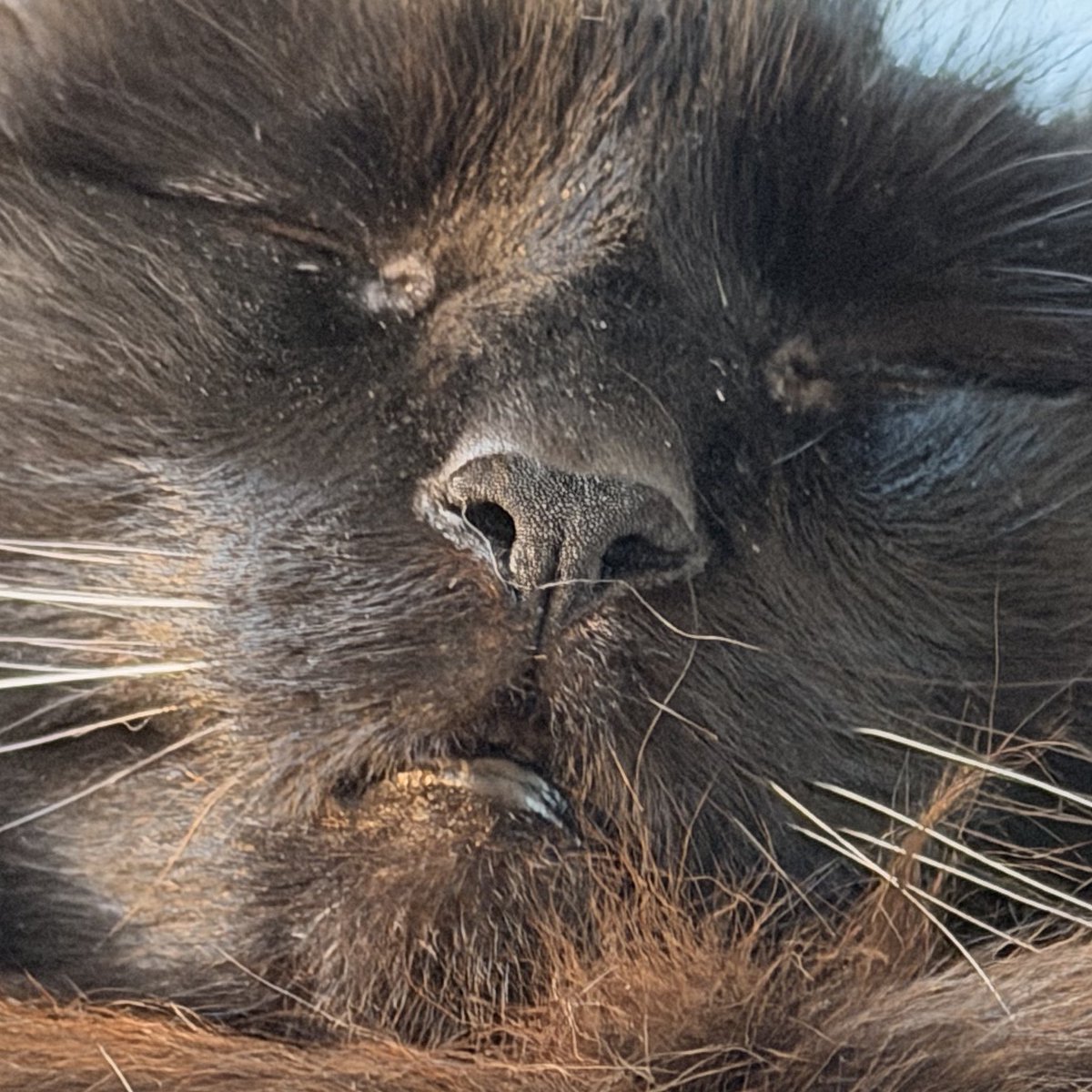 🅱️eowri tweet media