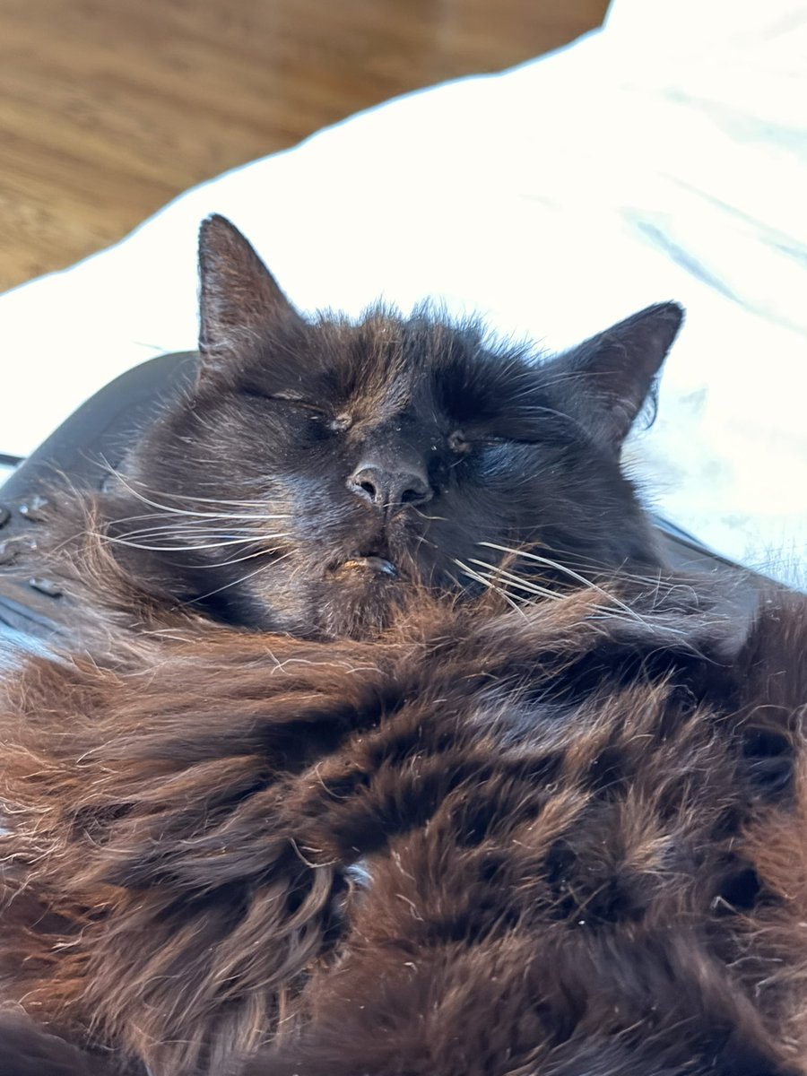 🅱️eowri tweet media