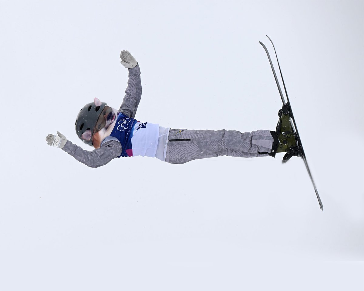 #NAFOlympics The NAFO forge doesn't stop or get distracted by world events. #RememberanceIsNotAViolation #AllEyesOnUkraine Maksym Kuznietsov, freestyle skiing fella. <a href="/Kama_Kamilia/">Kama</a> @goblin <a href="/tunacanschlong/">happy sidewinder noises</a> <a href="/gardenGnomen/">Polly</a> <a href="/ky_painter/">KY Painter</a>