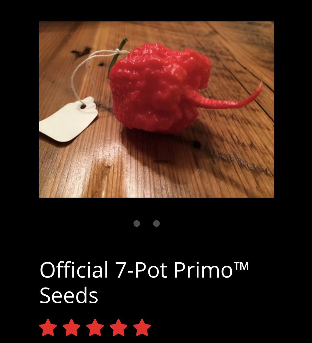 FloridaMan ∞ tweet media