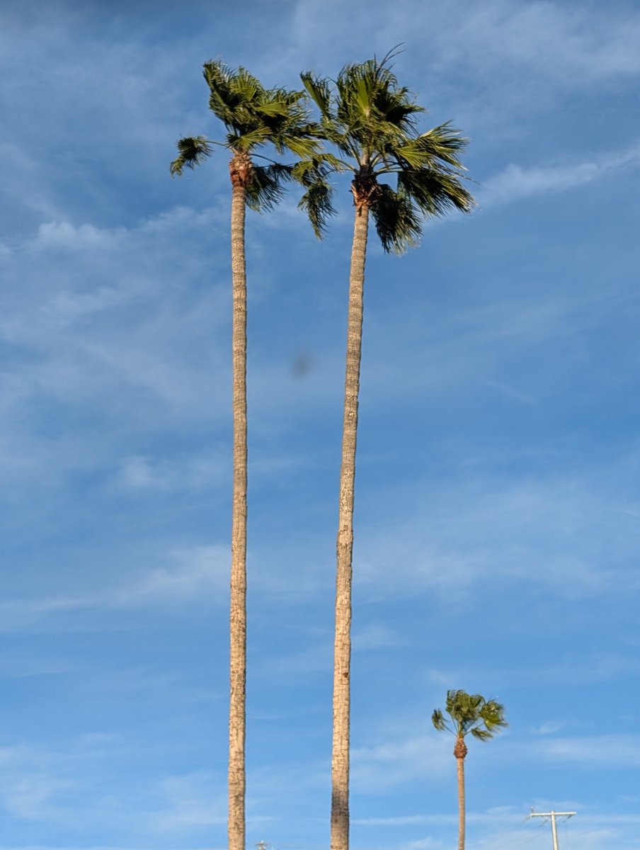 STEVEN T. E@STER tweet media