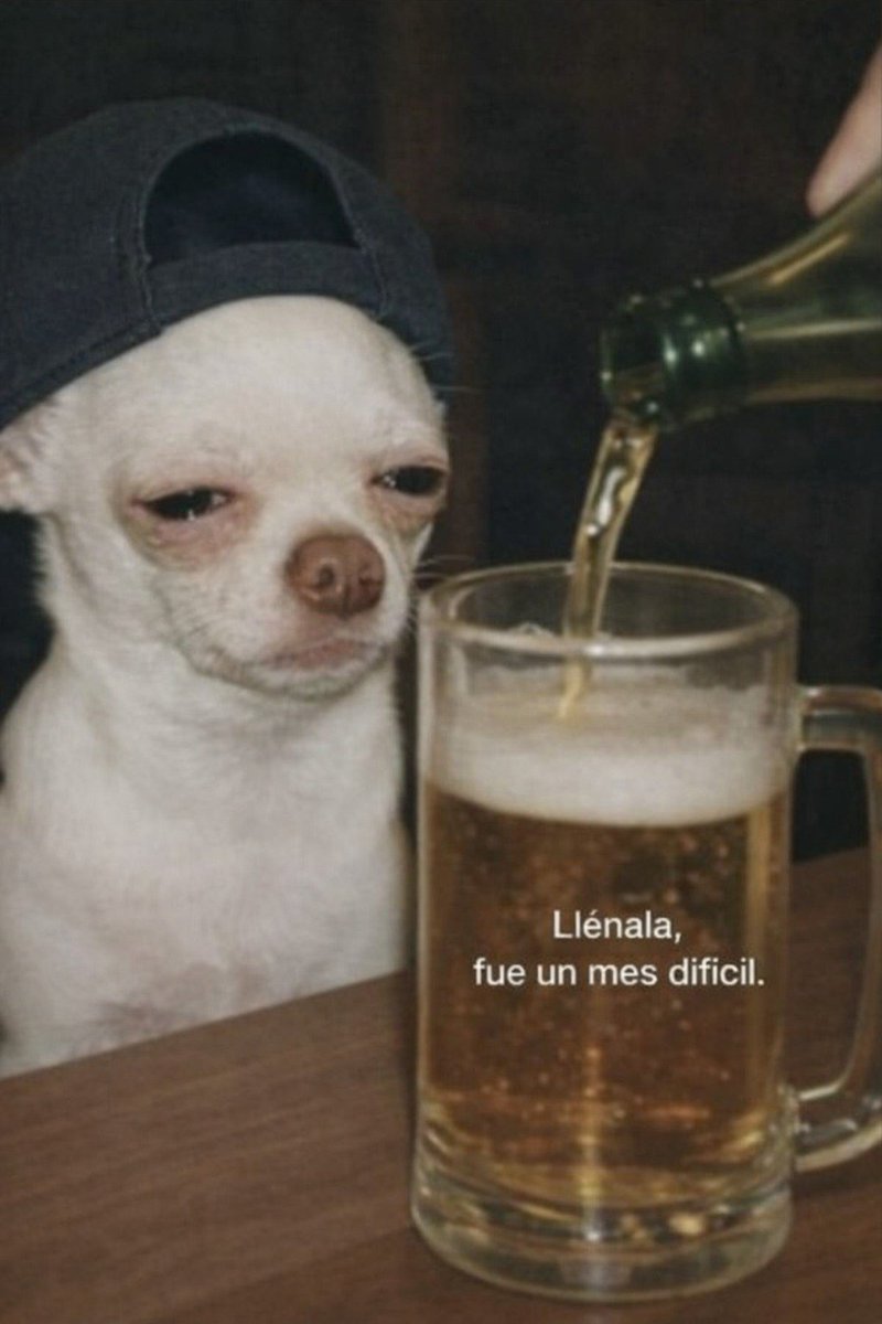 BANDIDOS (@bandidosfrasess) on Twitter photo 