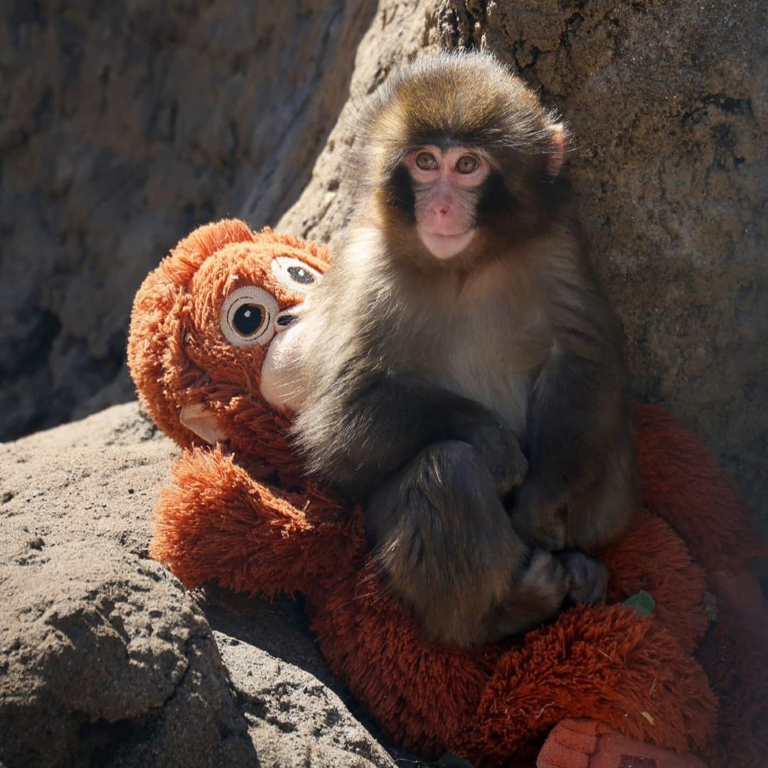 Deep Thoughts 💭 tweet media