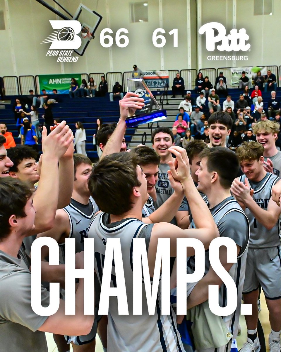 Behrend Basketball tweet media