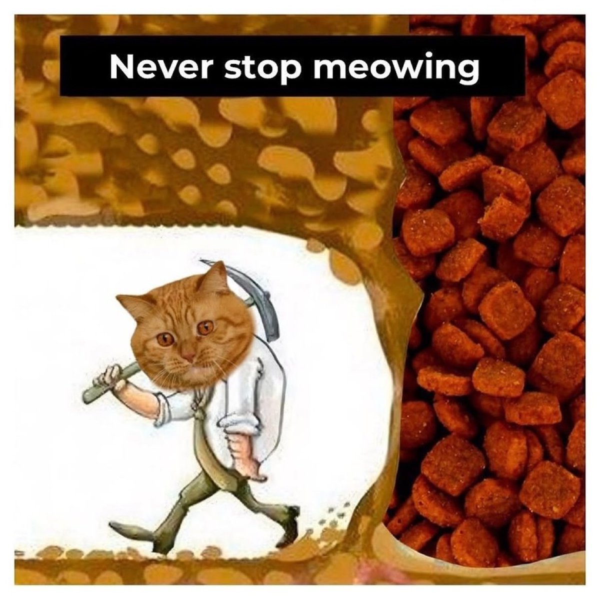 Never stop meowing
