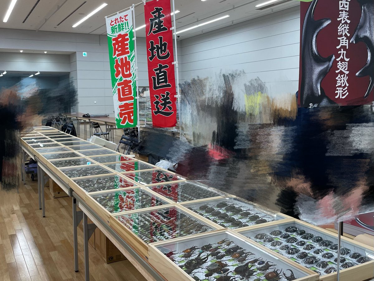 インセクエスト tweet media