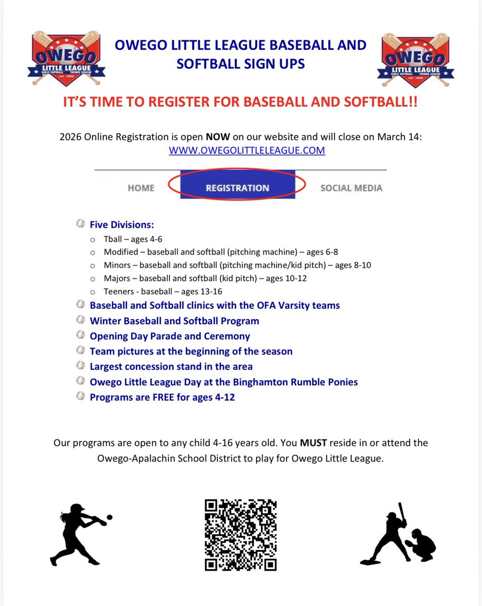 Owego Little League tweet media