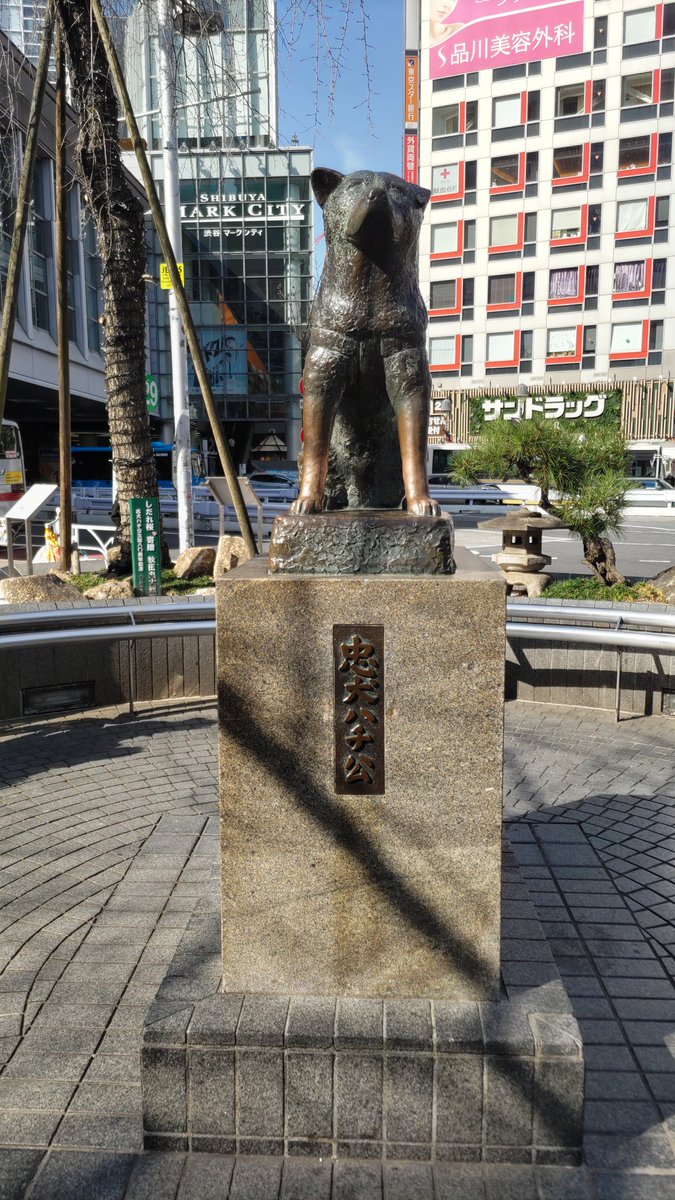 🐕‍🦺ここ来たの初めてでした！ #渋谷駅 #忠犬ハチ公像