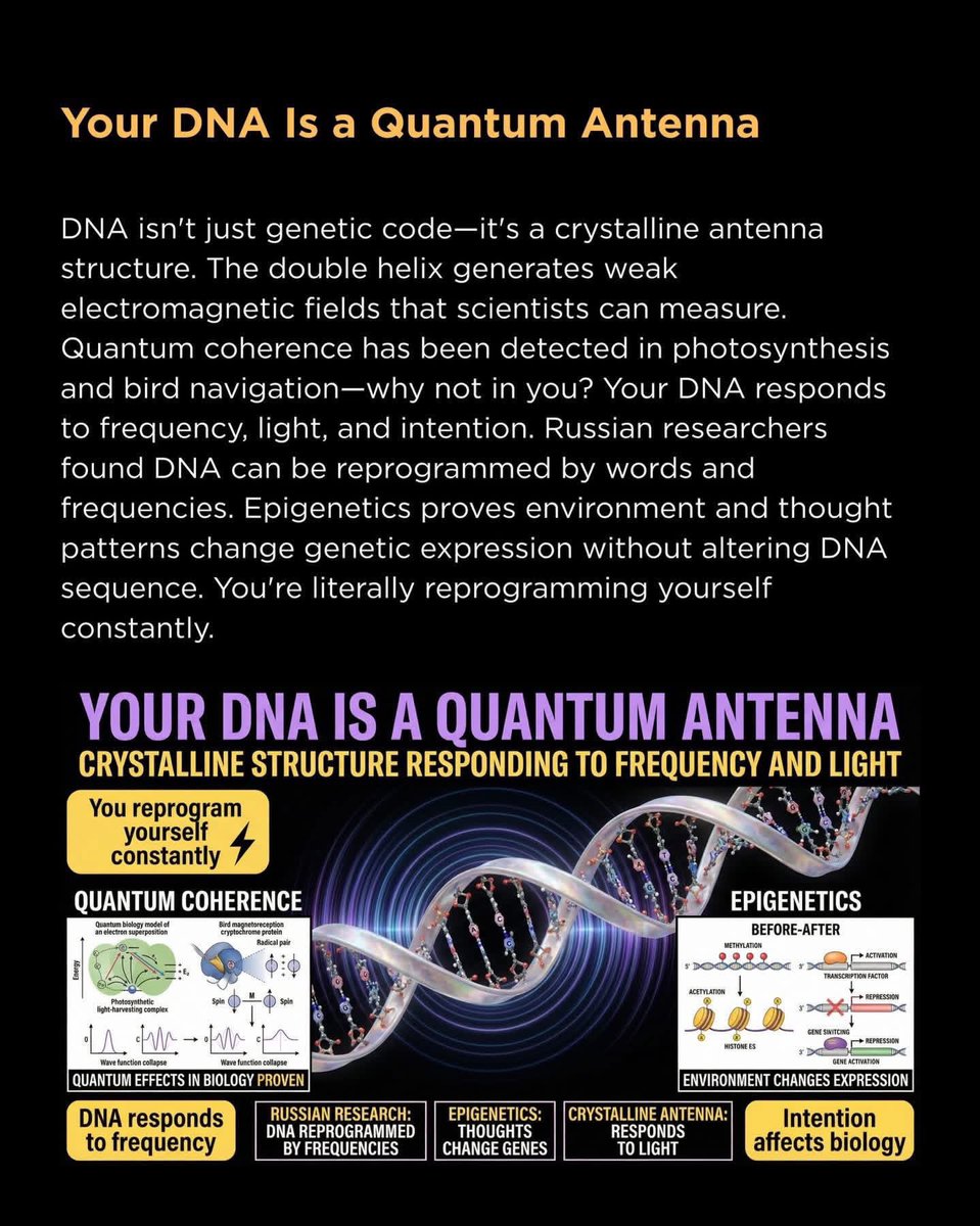 🧬Maxpein🧬 tweet media