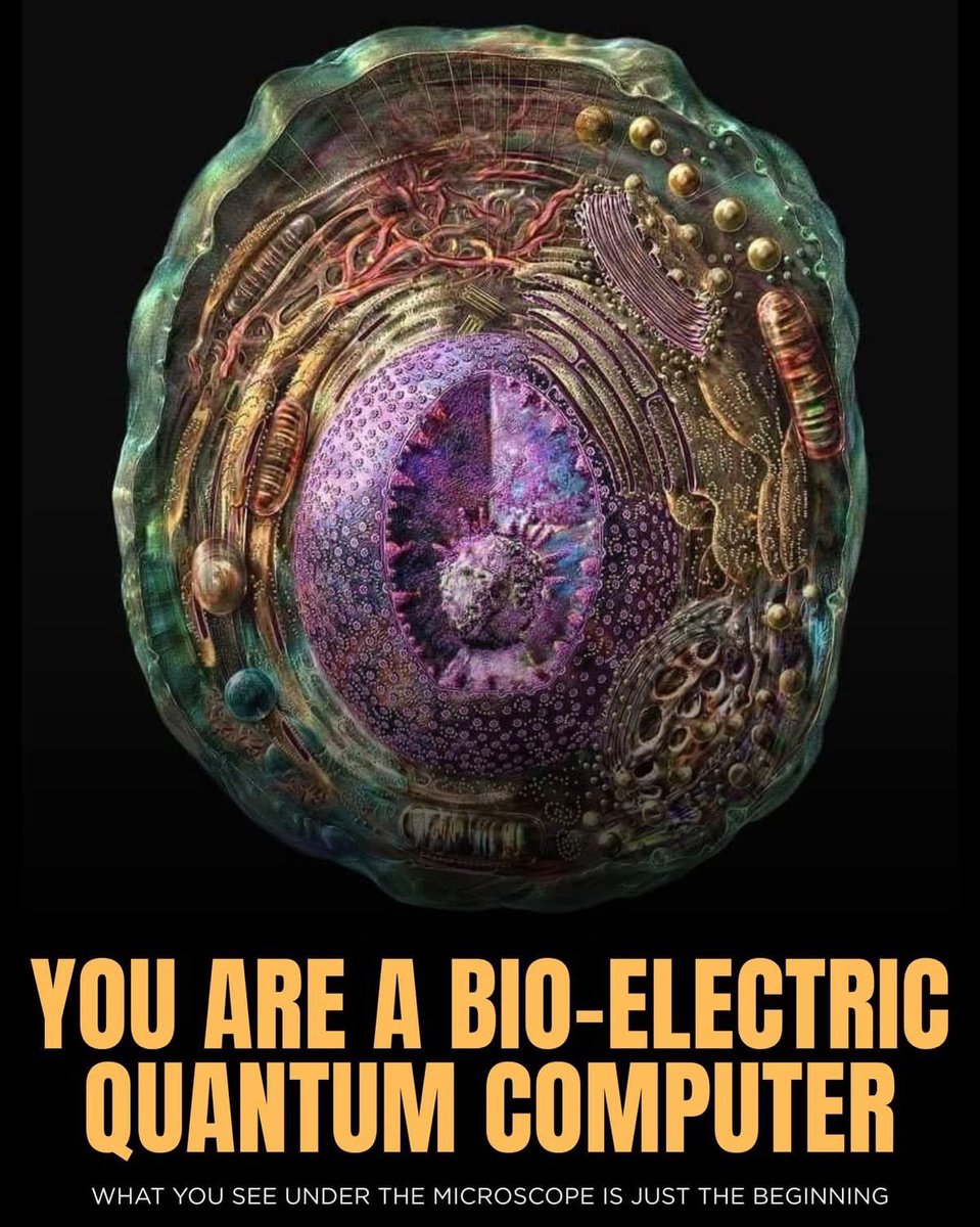 🧬Maxpein🧬 tweet media