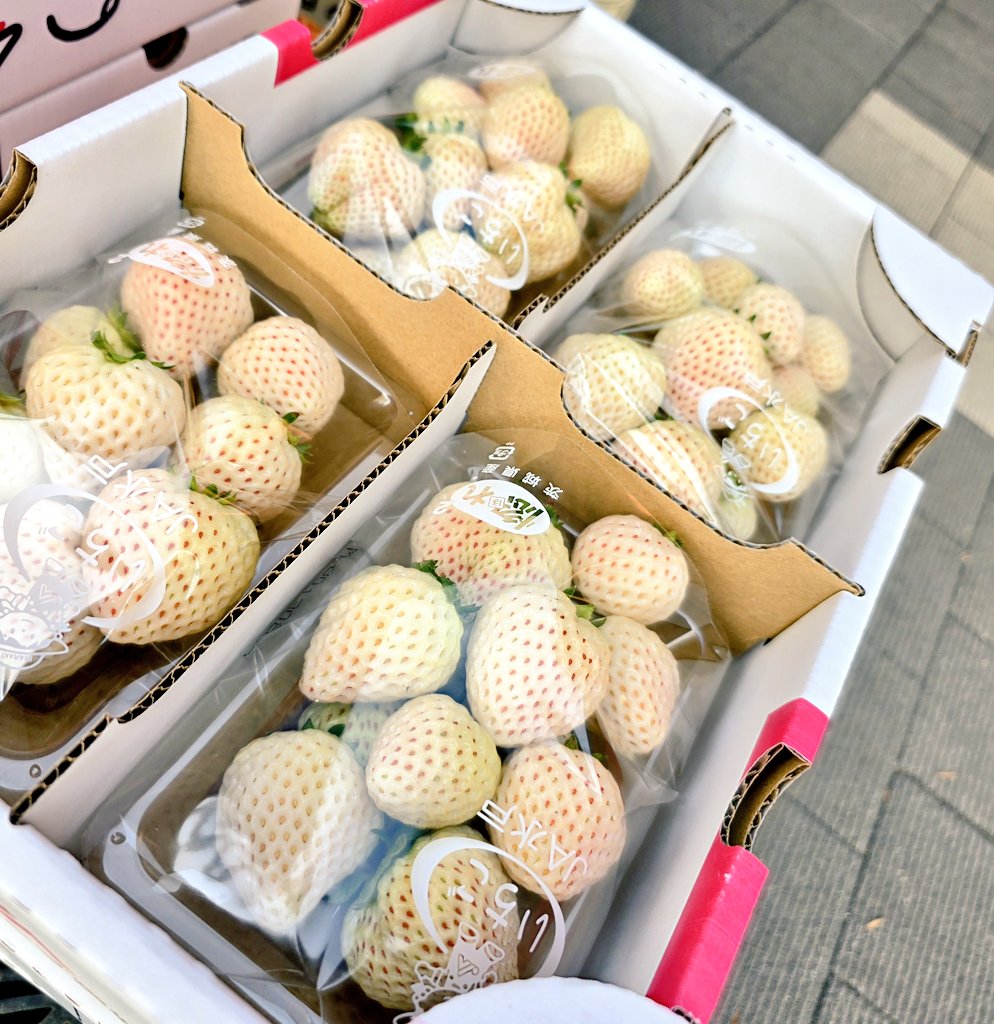 3月1日（日）☀️
10時からうみまちテラス前にて #駅横マルシェ を開催いたします！
※12時前に商品がなくなった場合は、早期終了あり。

今日も新鮮な野菜🥬に焼きたてのパン🍞、“干しいも”や“さくら餅”など季節商品もご用意✨

ぜひ、大洗駅横のうみまちテラスにお越しください😊

#大洗