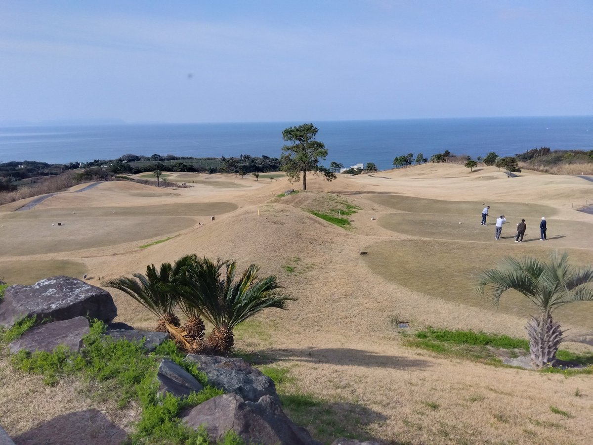 ゴルフ日和⛳
