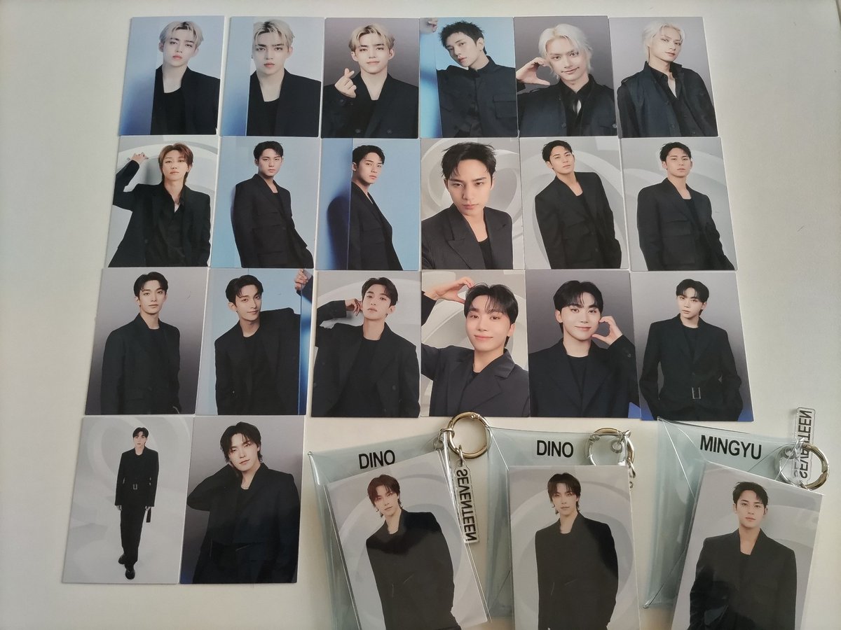 SEVENTEEN セブチ WORLD TOUR NEW IN JAPAN イルコン 交換 トレカ 譲