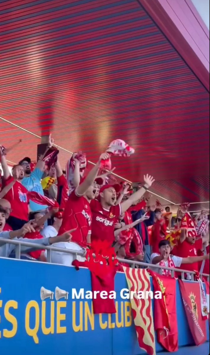 M³ |||| tweet media