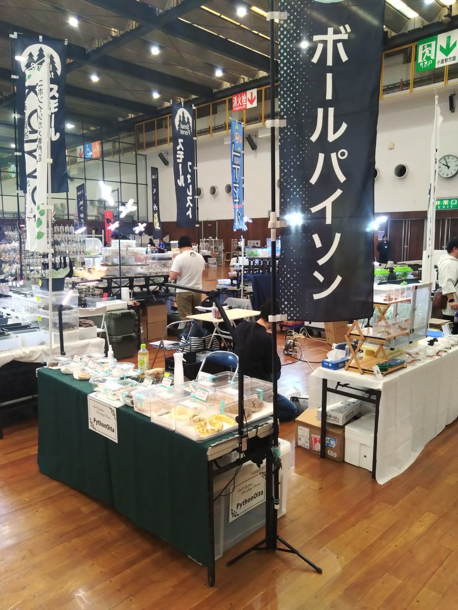 OG91949727's tweet image. WAFin九州2日目会場致しました。
本日も宜しくお願い致します🙇
＃WAF
#爬虫類イベント