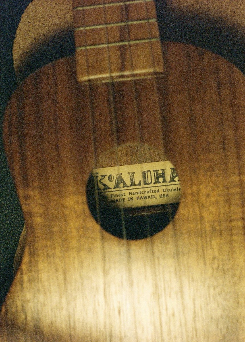 kanbai_banjo's tweet photo. My 4strings
NIPPON GAKKI YAMAHA No.80
GStrings
KoAloha

February 15, 2026
OLYMPUS-PEN FT, G.Zuiko Auto-S 40mm F1.4, VIBE MAX 800

#4strings #ukulele #olympuspenft #八百富フィルム現像所 #vibemax800 https://t.co/UeWAIGK3Oc