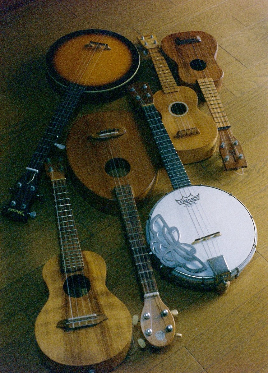 kanbai_banjo's tweet photo. My 4strings
NIPPON GAKKI YAMAHA No.80
GStrings
KoAloha

February 15, 2026
OLYMPUS-PEN FT, G.Zuiko Auto-S 40mm F1.4, VIBE MAX 800

#4strings #ukulele #olympuspenft #八百富フィルム現像所 #vibemax800 https://t.co/UeWAIGK3Oc
