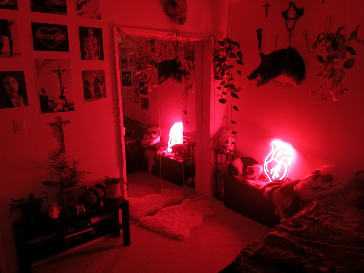 ๐๐๐๐๐ โฑ ๐๐๐๐ tweet media