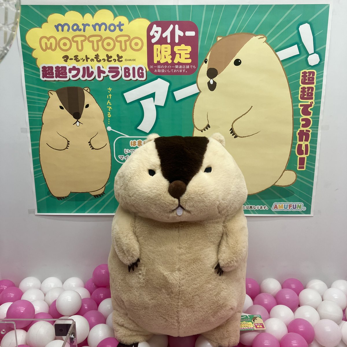TAITO限定！マーモットもっとっと ウルトラBIGぬいぐるみ 2点セット！ マーモットのもっとっとマモ座りウルトラBIG｜タイトーの3月のおすすめ