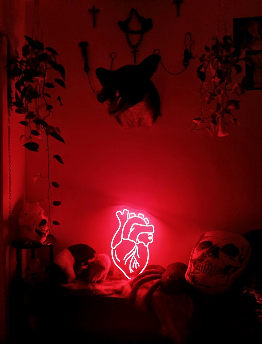 ๐๐๐๐๐ โฑ ๐๐๐๐ tweet media