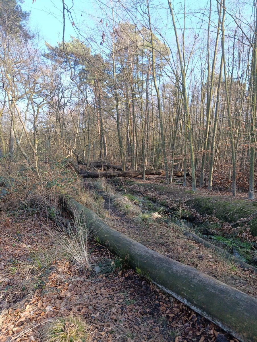 SeischerA's tweet photo. Mülheim an der Ruhr. Вернулся в Германию спустя 4 года. https://t.co/QbG1ftG1xT