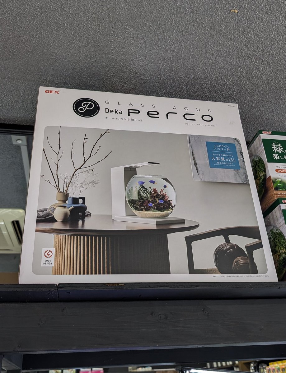 新商品】がいろいろ入荷しました✨ GEXから『#デカペルコ』 ＊3枚目の