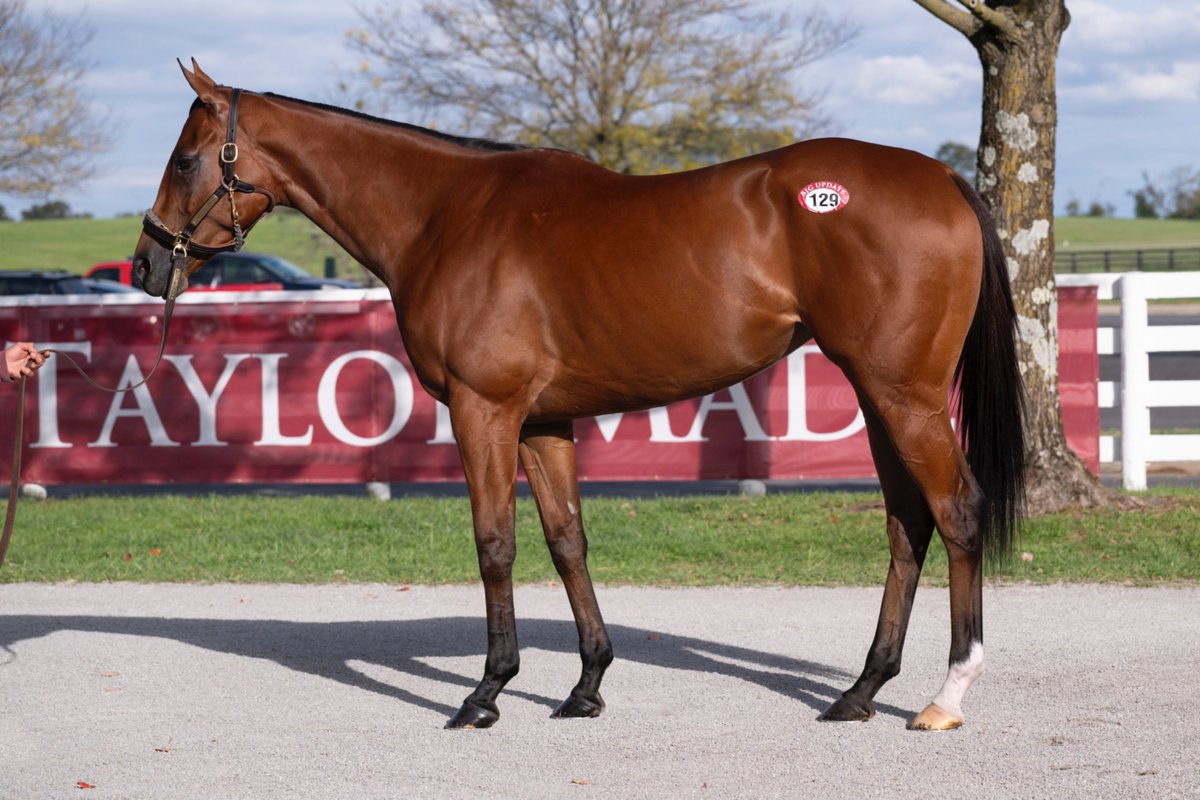 Taylor Made Farm tweet media