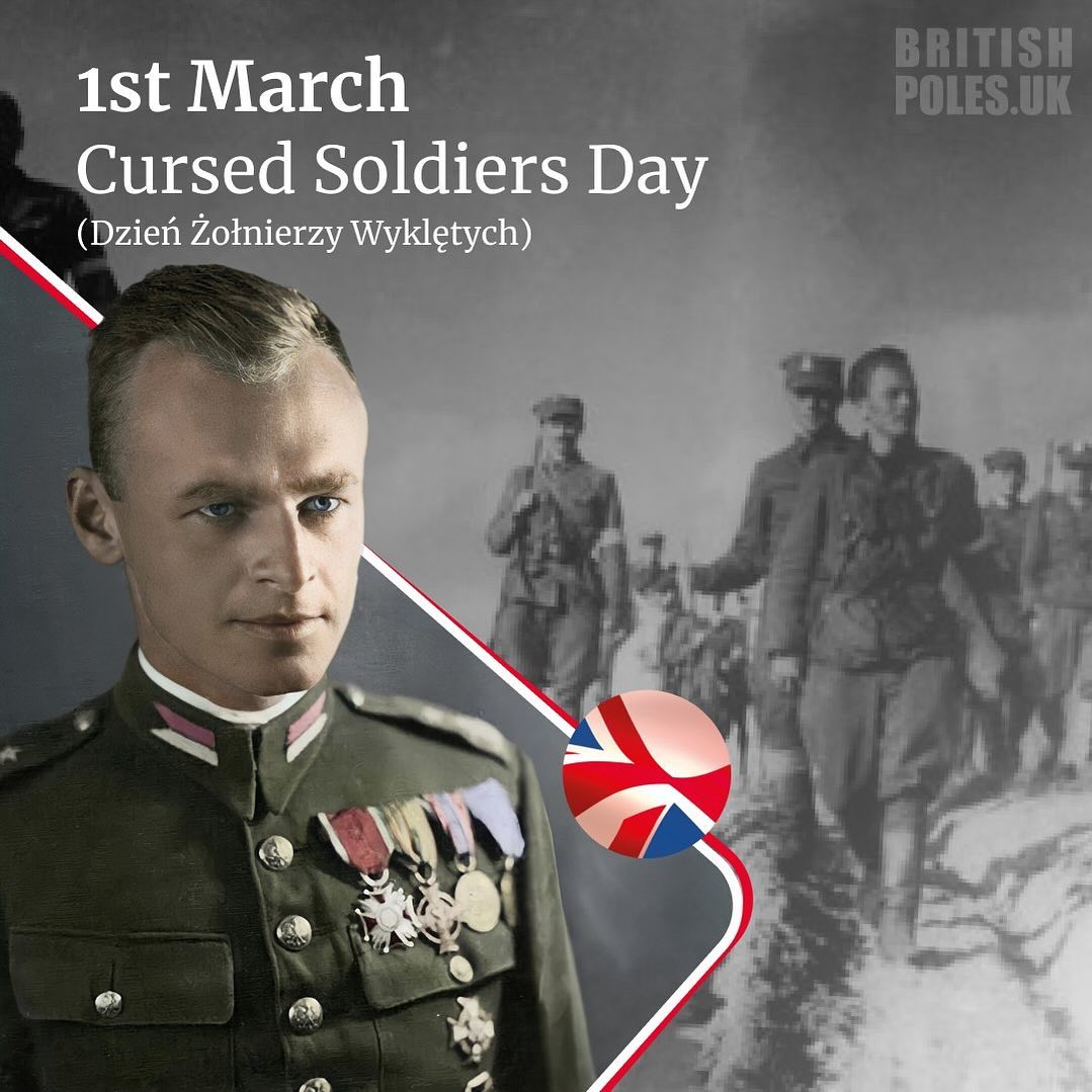 British Poles tweet media