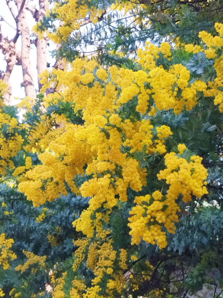 鈴木です。 tweet media