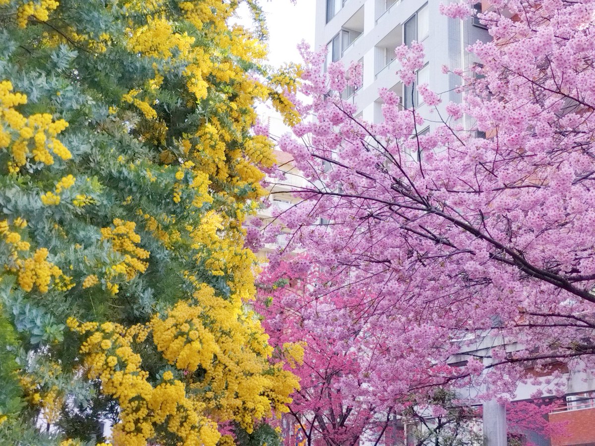 鈴木です。 tweet media