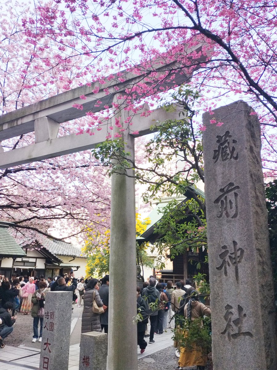 鈴木です。 tweet media