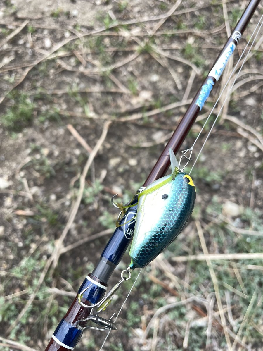 plotz BOXERに来た魚は少し良いサイズだったのに痛恨のバラシ…多分水深