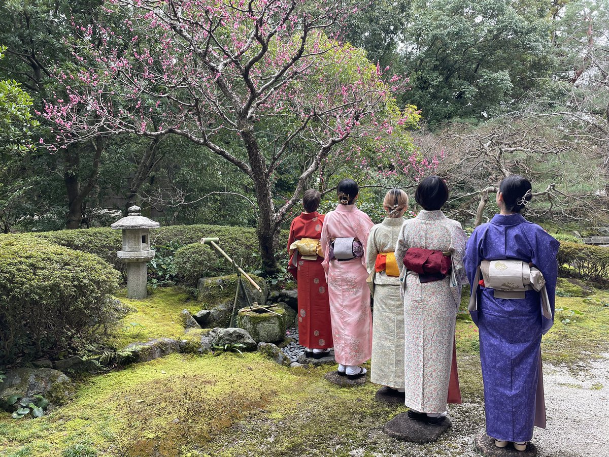 kimono_dressing's tweet photo. Thank you for joining Challenge!KIMONO class 
2026.2.27
 
次のクラスは
3/13と3/27(金)
時間　12:30-14:30
女性限定　要予約 
#kimono #challengekimono #enjoykimono #kokoka #cosmos 
#京都　#着付け　#着物でお出掛け https://t.co/jb0Jw1iImo
